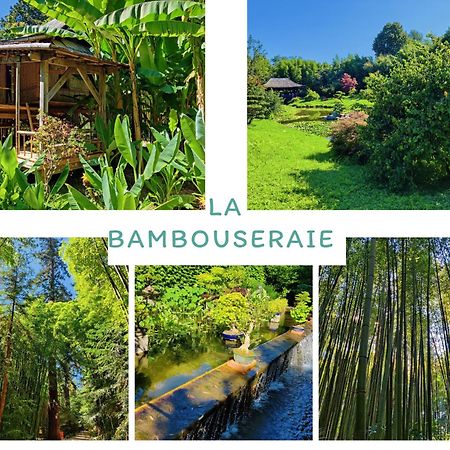 Gite Proche De La Bambouseraie Boisset-et-Gaujac Extérieur photo